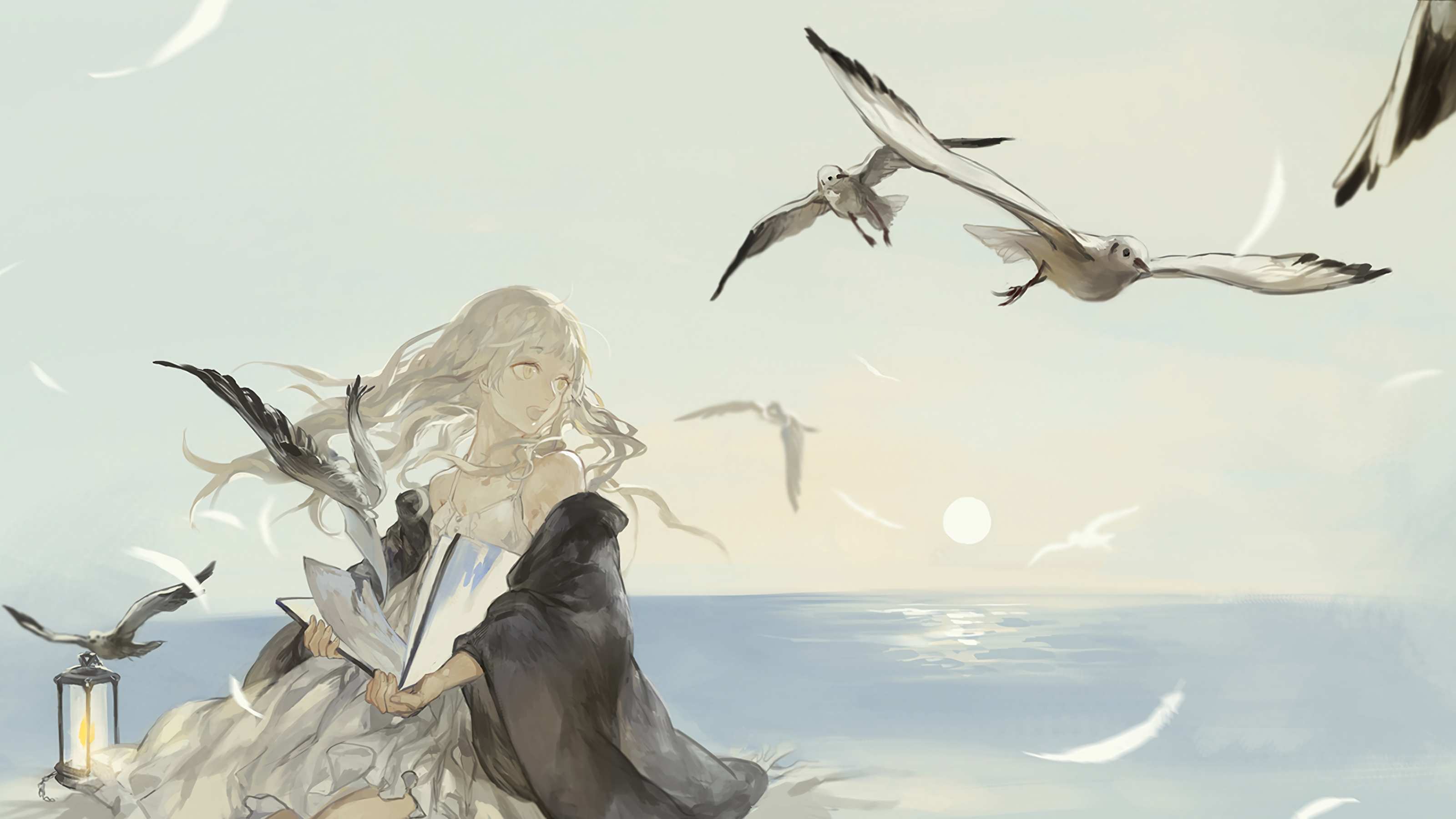 boxmoe_header_banner_img